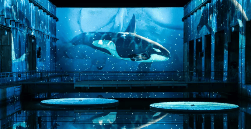 Océan Immersion dans le monde sous-marin 1